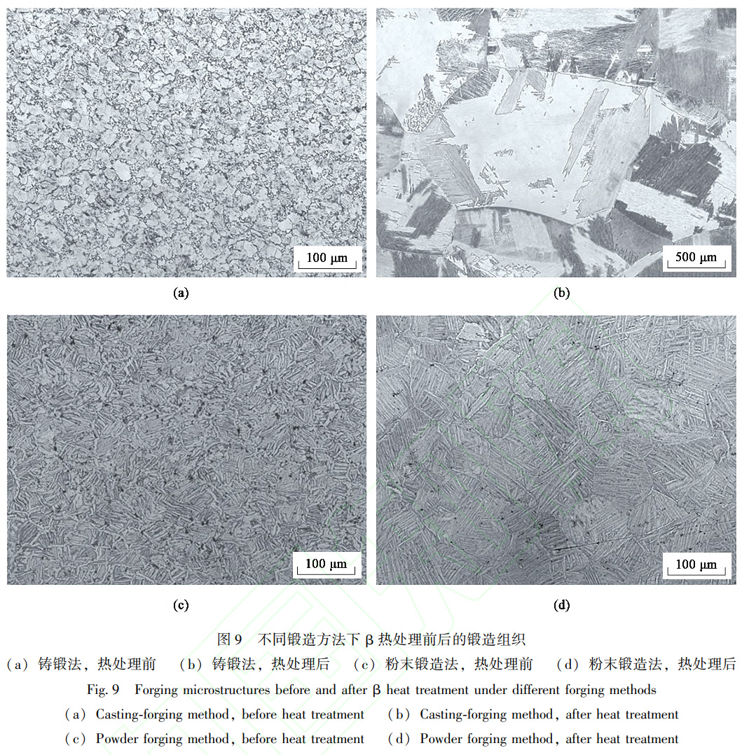 鈦合金粉末冶金β相區(qū)熱加工組織行為