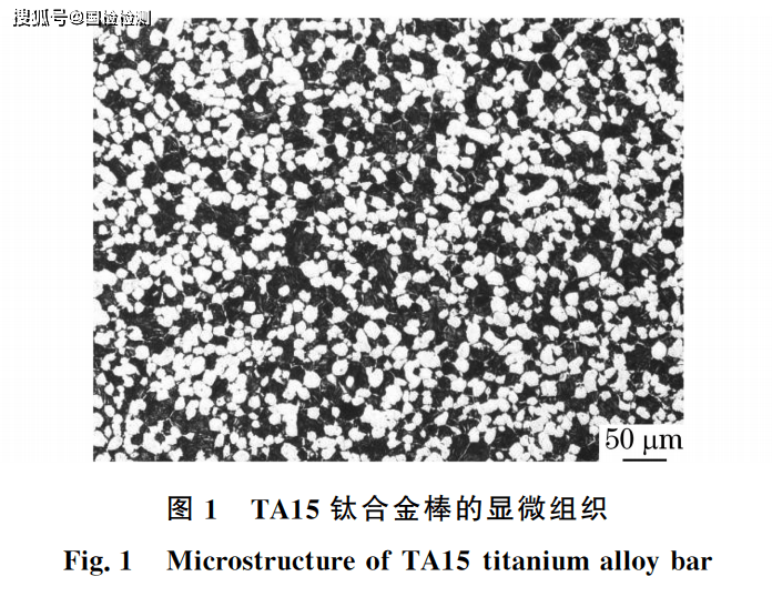 1695593867988994.png t1.png