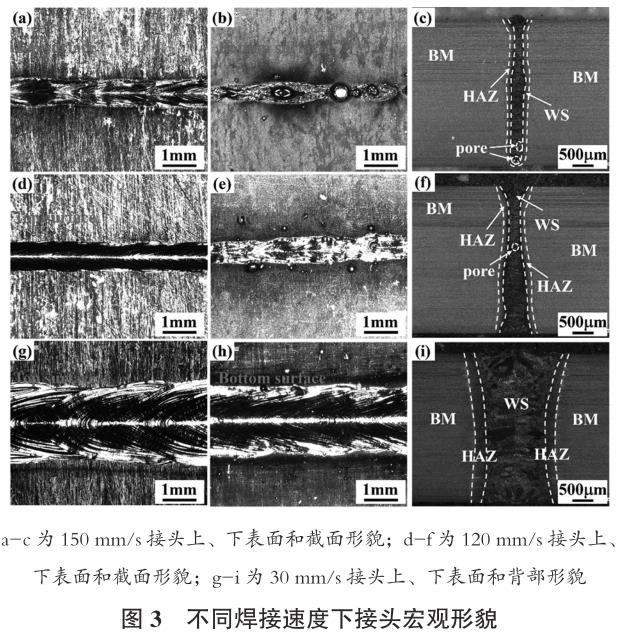 1695741964608678.jpg t3.jpg