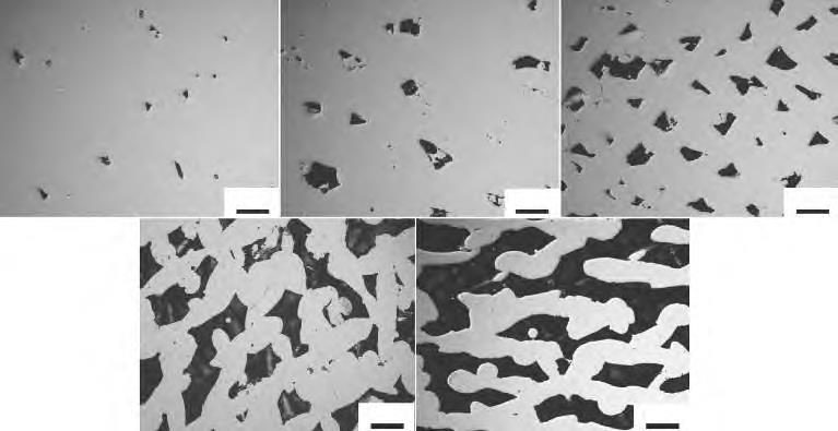 1716347912845863.jpg 4.jpg