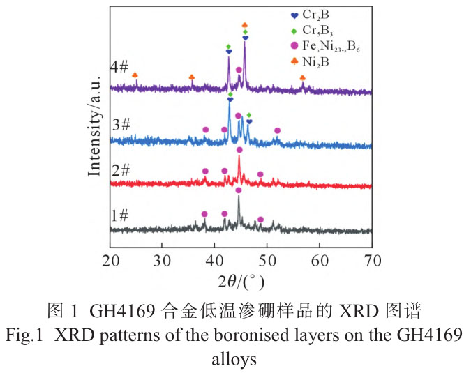 1720795011136404.jpg t1.jpg